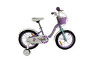 CM18-2-purple