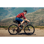Велосипед MONDRAKER Arid S 28'', Bronze, M/L