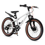 Велосипед дитячий RoyalBaby 26" KING-PLUS 21 SPEED, OFFICIAL UA, Silver