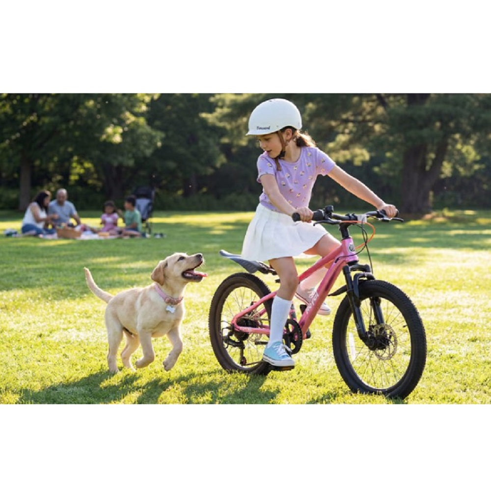 Велосипед дитячий RoyalBaby 24" KING-PLUS 21 SPEED, OFFICIAL UA, Silver
