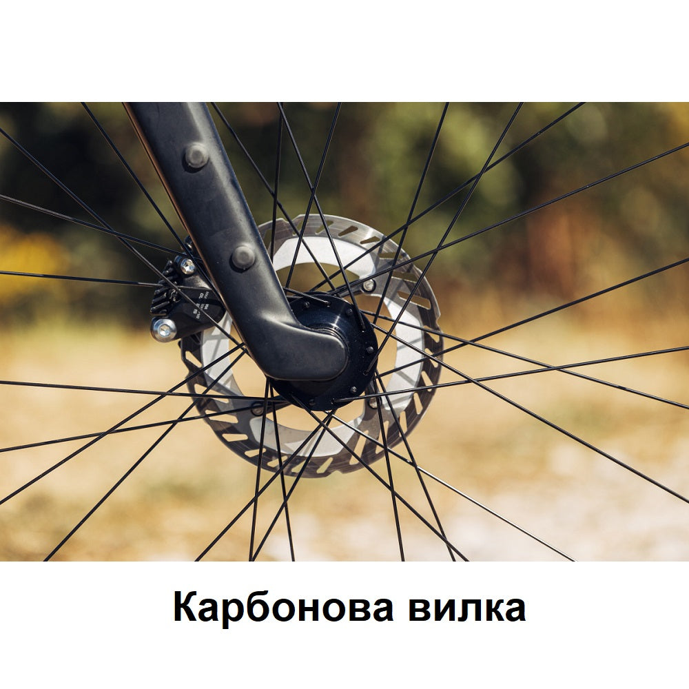 Велосипед MONDRAKER Arid R 28'', Golden Silver, M/L